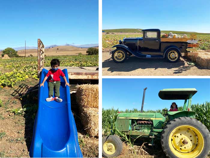 Three Nunns Pumpkin Patch Has Tractors, U-Pick & Massive Corn Mazes for Acres of Fun 3 Three Nunns Farm