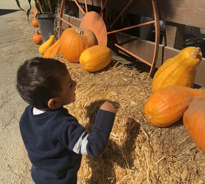 Lemos Farm