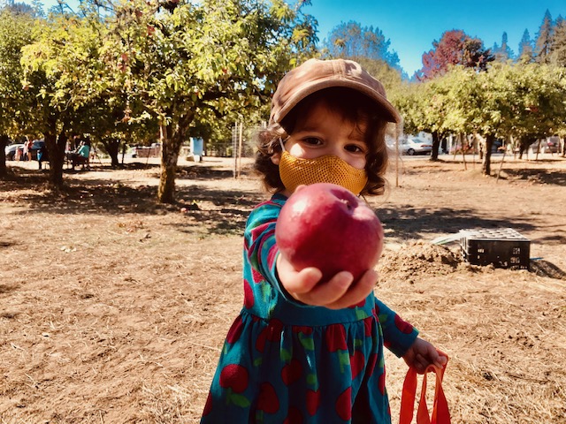 Toddler holding apple
