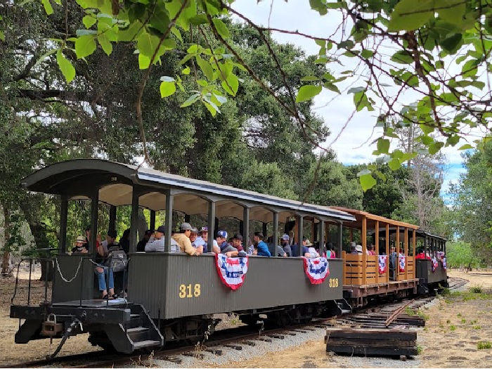 ardenwood train on its track
