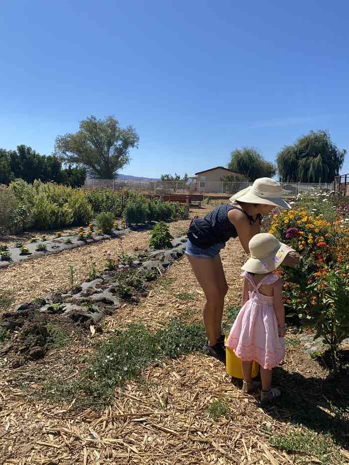 The Urban Edge Farm — U-Pick Flowers in Brentwood 3 flower picking brentwood