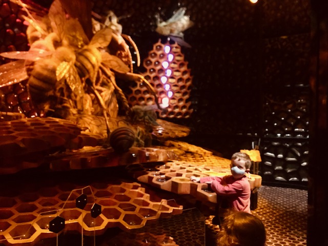 Cal Academy of Sciences Is for Kids of All Ages 3 boy at bee exhibit