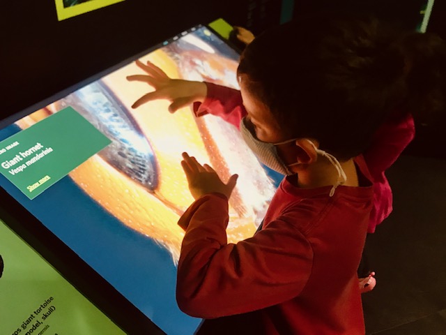 boy using touch screen