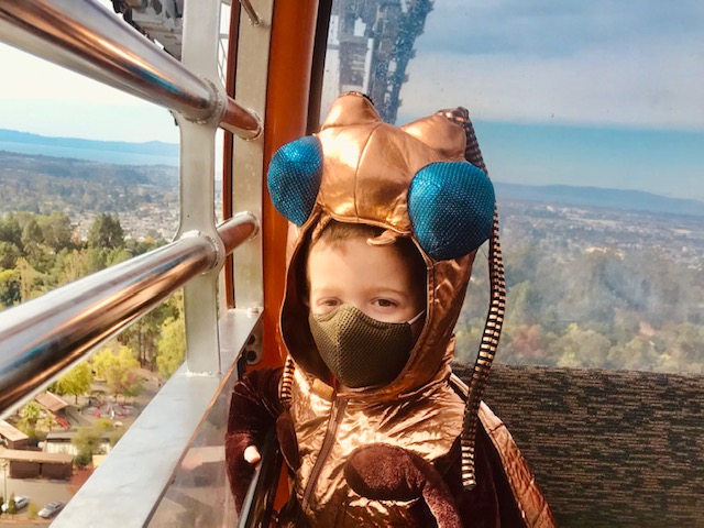 child in bug costume