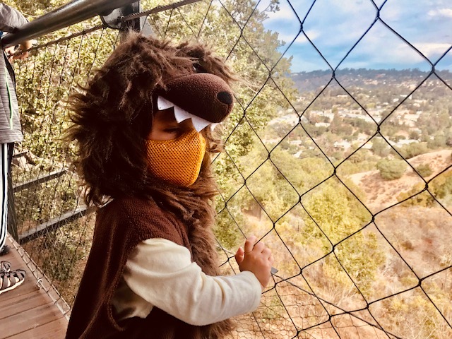 child dressed like wolf