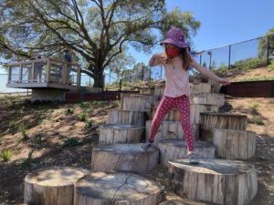 Outdoor nature lab stump stairs