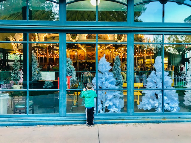 child looking in christmas window