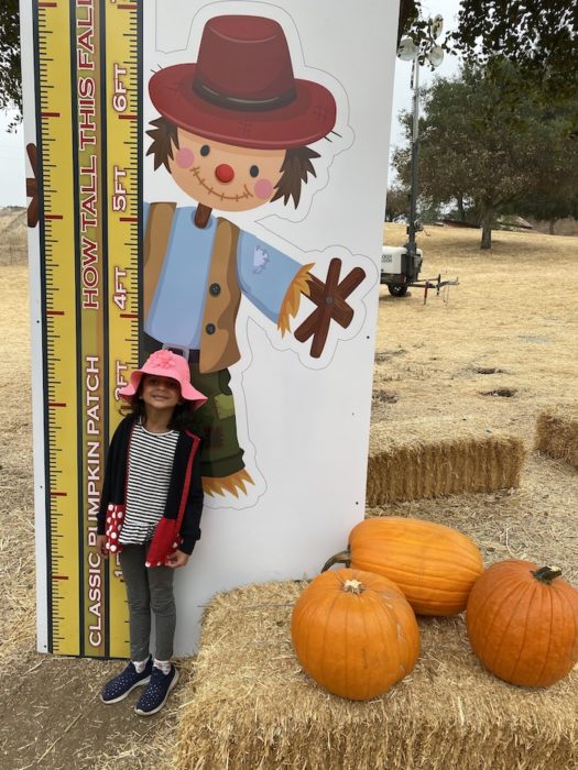 Castro Valley Pumpkin Patch