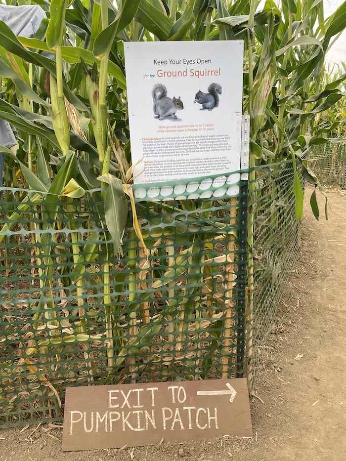 Smith Family Farm: Pumpkin Harvest and U-Pick 3 corn maze sign