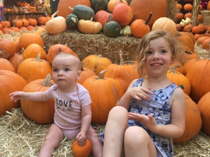 Children picking pumpkins at pumpkin patch.