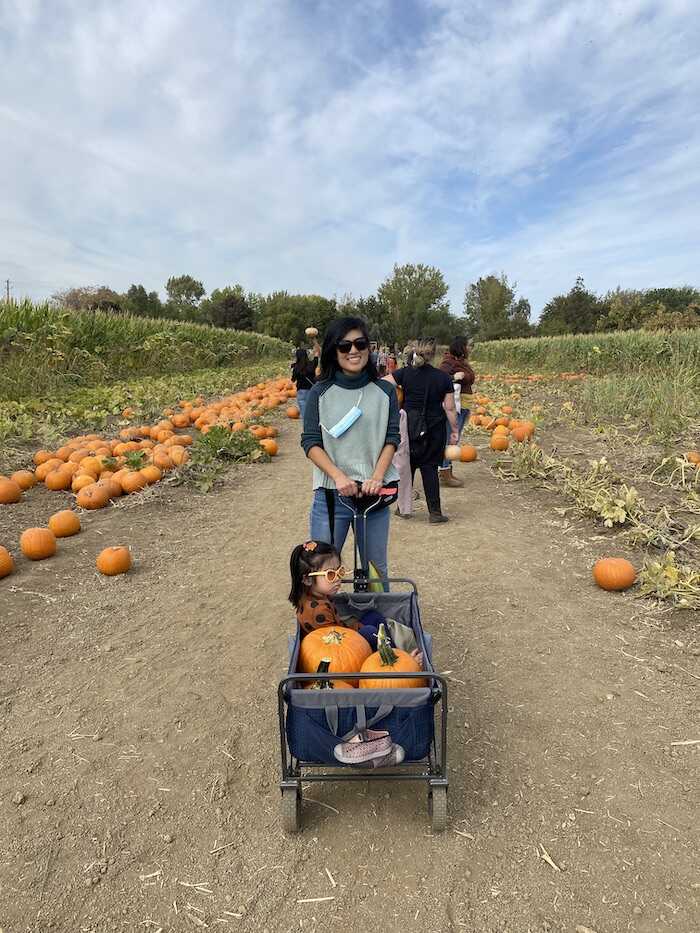 smith family farm pumpkin patch 