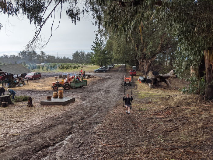 Favorite East Bay Christmas Tree Lots & Farms 6 tree farm vibe at RSV