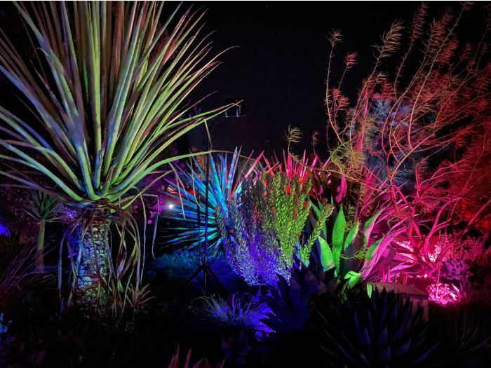 lit up garden