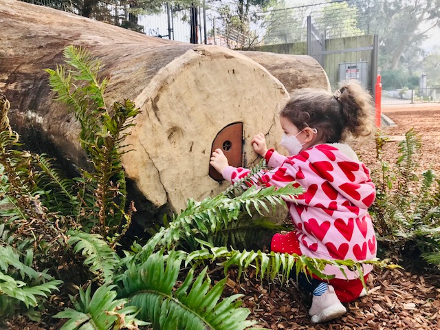 Cal Academy of Sciences Is for Kids of All Ages 6 child opening fairy door in log