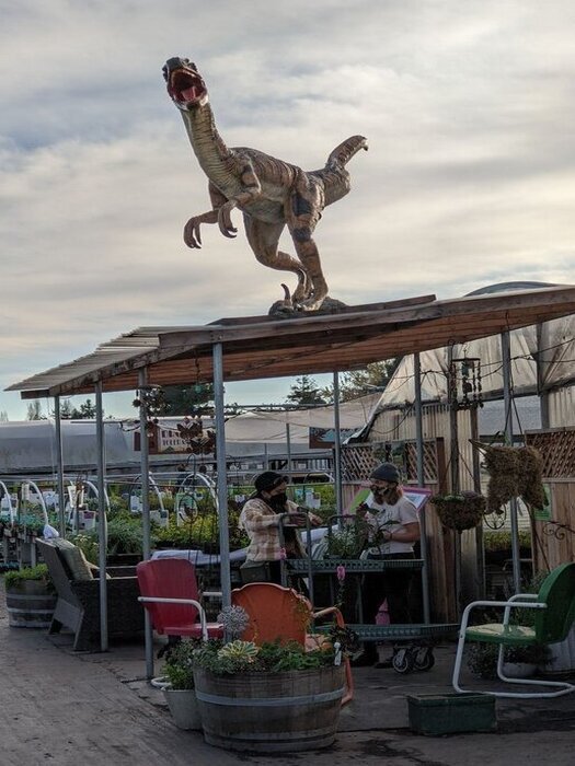 Dinosaur statue on roof