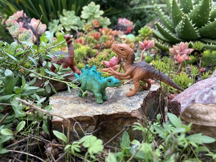 Dinosaur Garden