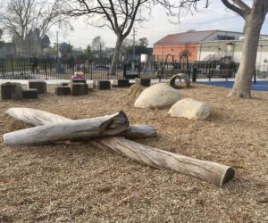 Nature Climbing Area at James Kenney Playground