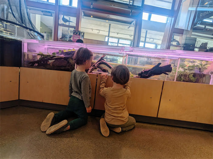 The Live Animal Exhibit