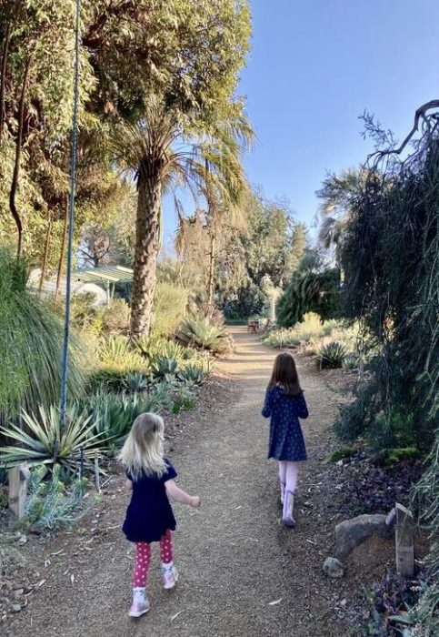 Ruth Bancroft Garden