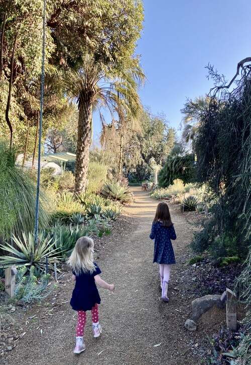 Ruth Bancroft Garden