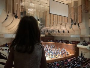child's view of the symphony