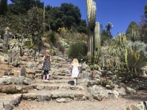 Climb hills and steps of UC Botanical Garden