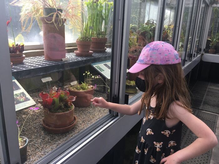 Child in greenhouse at garden