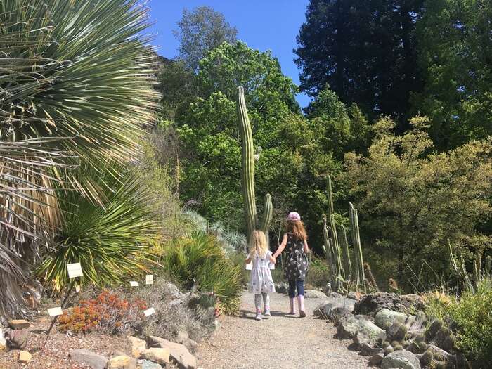 Children at cactus garden
