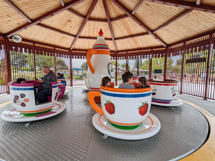 Teacups at Kennedy