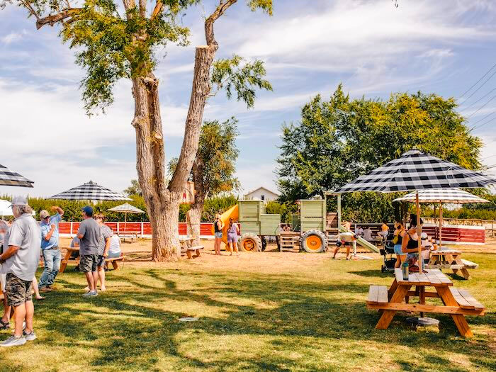 Farmers Daughter playground and picnic area with porch swing with people enjoying
