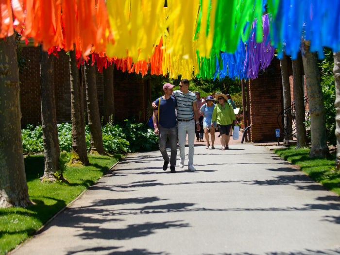 Walkway with rainbow flags for lgbtq+ pride