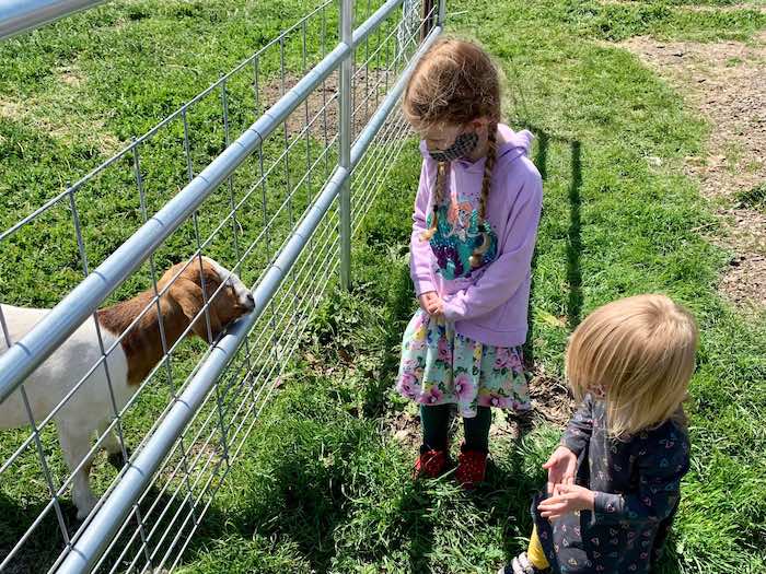 Ardenwood Farm