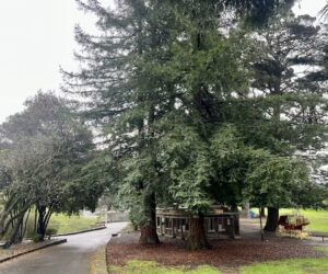 Park Profile: Updated Montclair Park