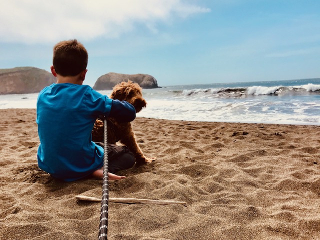 boy with dog