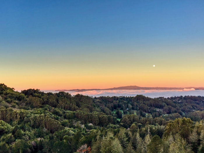 Native Land Acknowledgment 3 berkeley hills looking toward the water