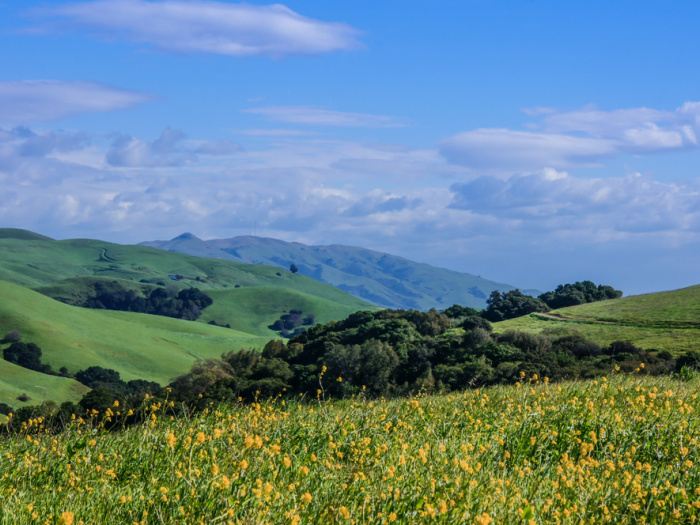 Native Land Acknowledgment 1 east bay hills