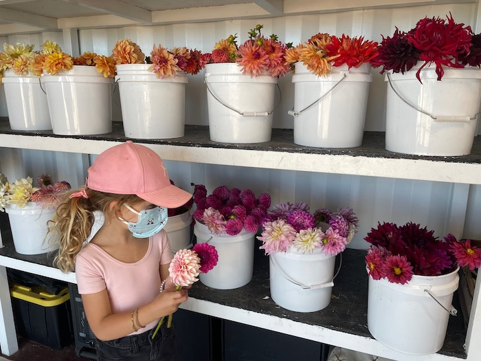 girl creates bouquet from buckets of flowers