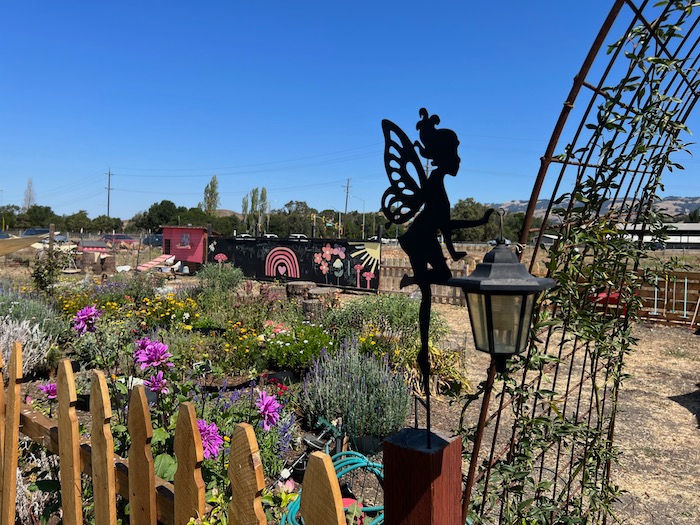 Frolic at Happy Dahlia Farm Through October 6 flower fields and artistic touches