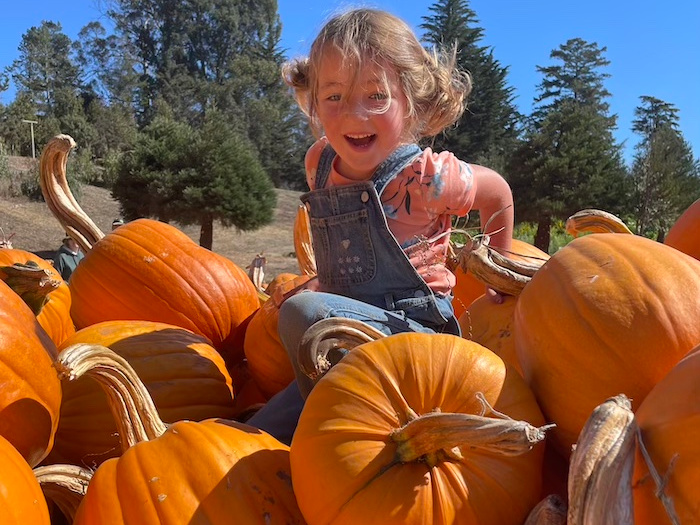 East Bay Pumpkin Patch & Corn Maze Guide - 510 Families East Bay Pumpkin Patch & Corn Maze Guide - 510 Families