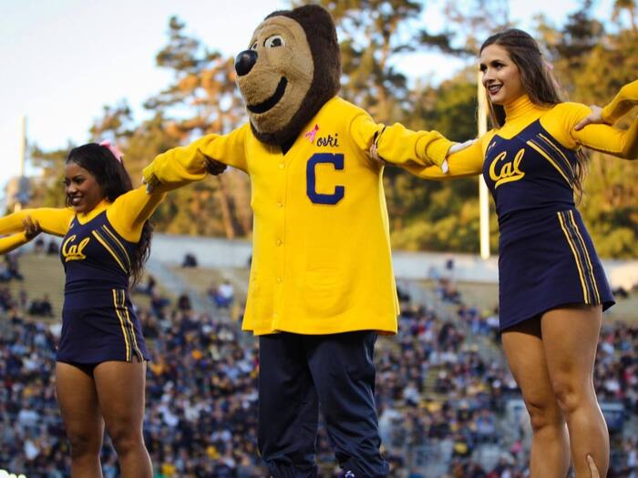 Oski mascot cheering with cheerleaders