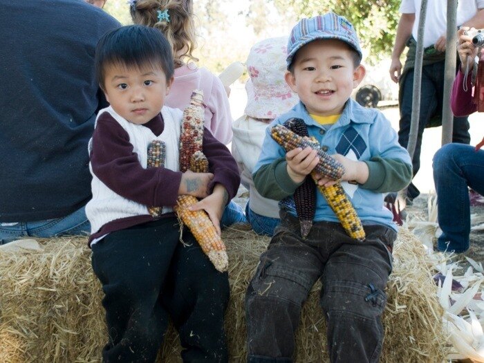 Children at harvest festival in Ardenwood Farm