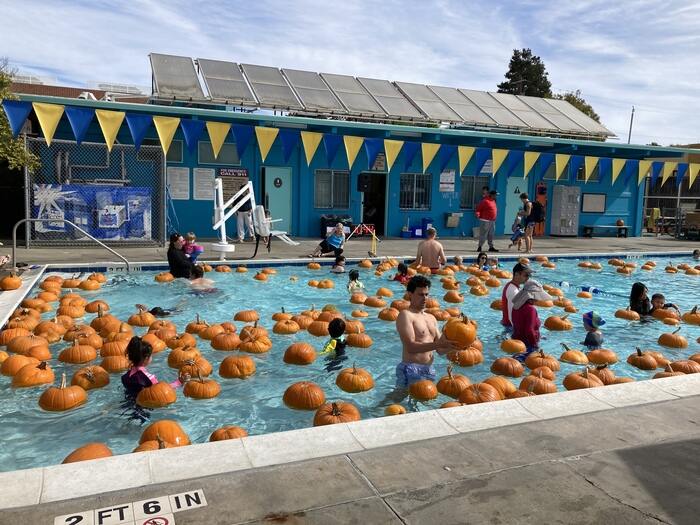 Families swim in floating pumpkin patch in pool for halloween