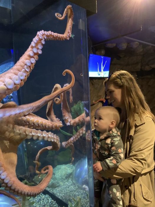 Child and Octopus
