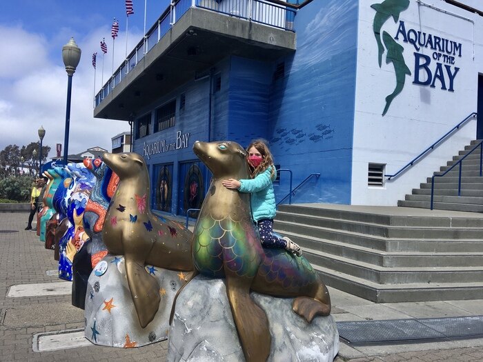 Play Tourist at San Francisco's Aquarium of the Bay & Pier 39 13 Sea Lion Statues at Pier 39