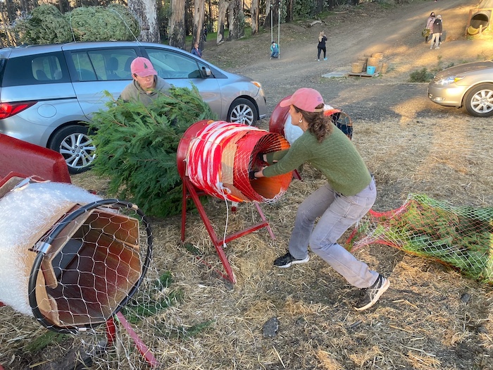 Favorite East Bay Christmas Tree Lots & Farms 4 Christmas Tree Farm where you can cut your own tree