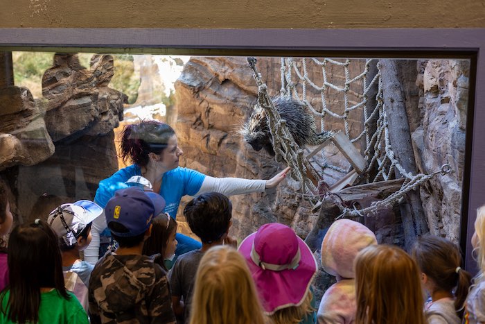 Daily animal feedings at CuriOdyssey