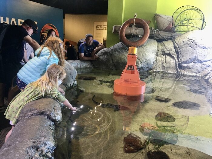 Play Tourist at San Francisco's Aquarium of the Bay & Pier 39 2 Child at aquarium touchpool