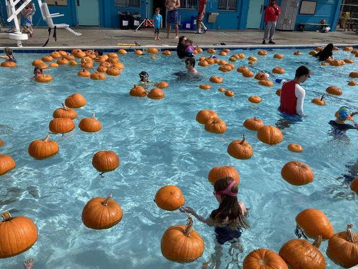 Families in pool with pumpkins floating around