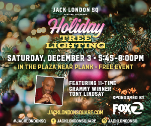 tree lighting ad for jack london square