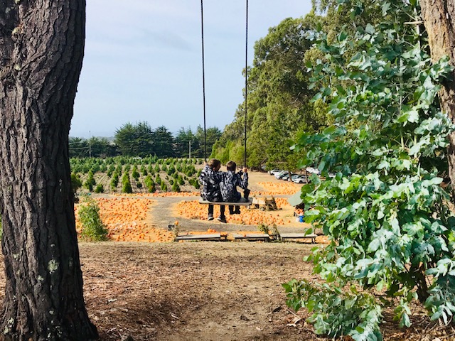 two boys on a swing